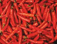 red chilly