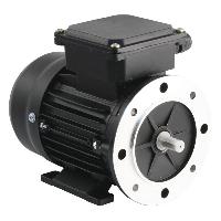 flange mount motors