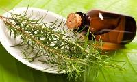 Tea Tree oil aroma