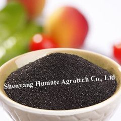 Seaweed Extract Powder