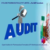 Pharmaceutical Auditing Services