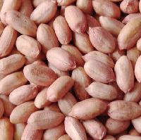 peanut kernels