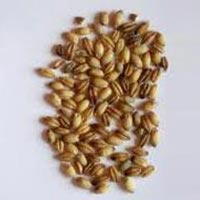 food grains