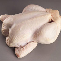 Halal Whole Frozen Chicken