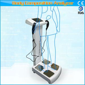 Body Composition Analyzer For Health Club