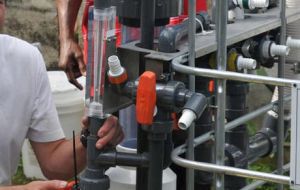 Actuarial & Risk Management