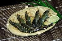 Black Tiger Prawn