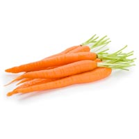 Fresh Carrot