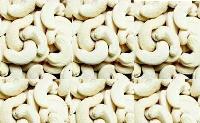 cashew nuts