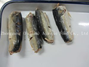 Canned Mackerel