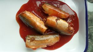 Canned Mackerel