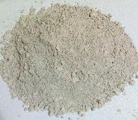 Diatomaceous Earth