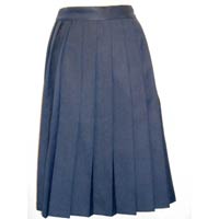 Navy Blue Pleated Skirt