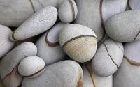 Natural Polished Pebbles
