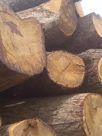 Mahogany Wood Logs