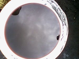 Petrochemicals & Petroleum Products