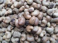 Raw Cashew Nuts,  Material : Raw Cashew