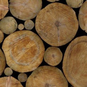 teak wood logs