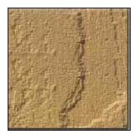 Lalitpur Yellow Sandstone