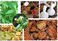 herbal raw material