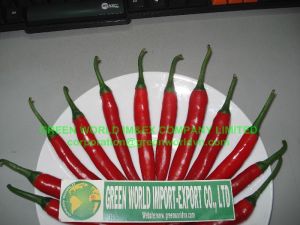 Fresh Chili, Packaging Type : beautiful red