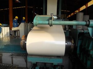 Steel & Steel Products