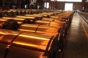 Steel Coils
