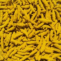 Erode Turmeric Finger