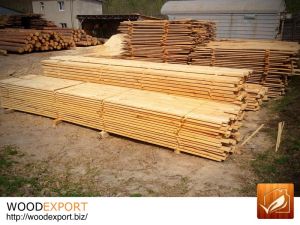Pine Timber From Ukraine Producer