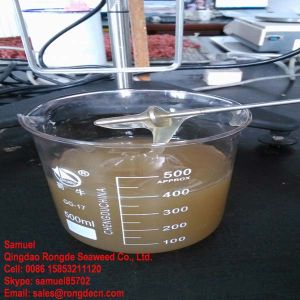Sodium Alginate Tech Grade