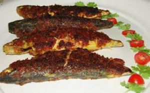 Frozen Mackerel Fry