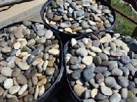 Polished River Pebbles