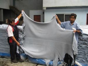 Cow and Sheep Skins, Wet Blue