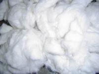 cotton yarn waste