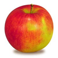 Jonagold Apple