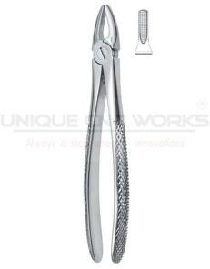 Extracting Forceps