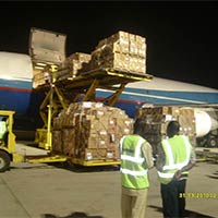Cargo Charter Services