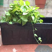 Portable Vegetable Growing Pot