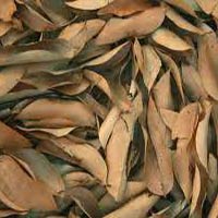 Dry Leaf Manure