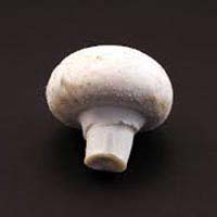 Fresh Button Mushrooms