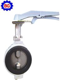 Butterfly Valve