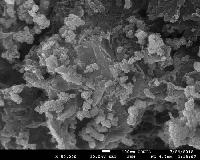 Iron Oxide Nanoparticles