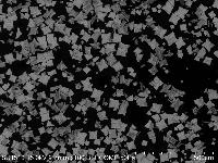 Tin Oxide Nanoparticles