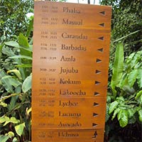 Engraved Wooden Sign Boards