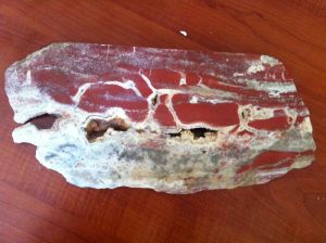 Jasper Stone Jasper Stone