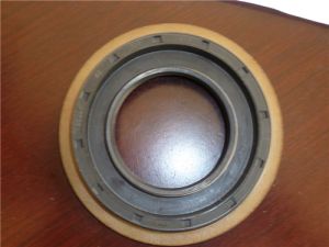 Oil Seal