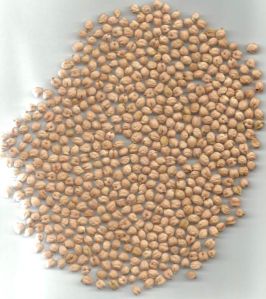 Kabuli Type Chick Peas