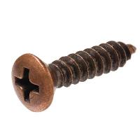 copper screw