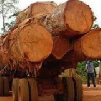 Okan Padauk Sapelli Wenge Okan Padauk Sapelli Wenge