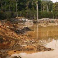 Gold Mining Concession